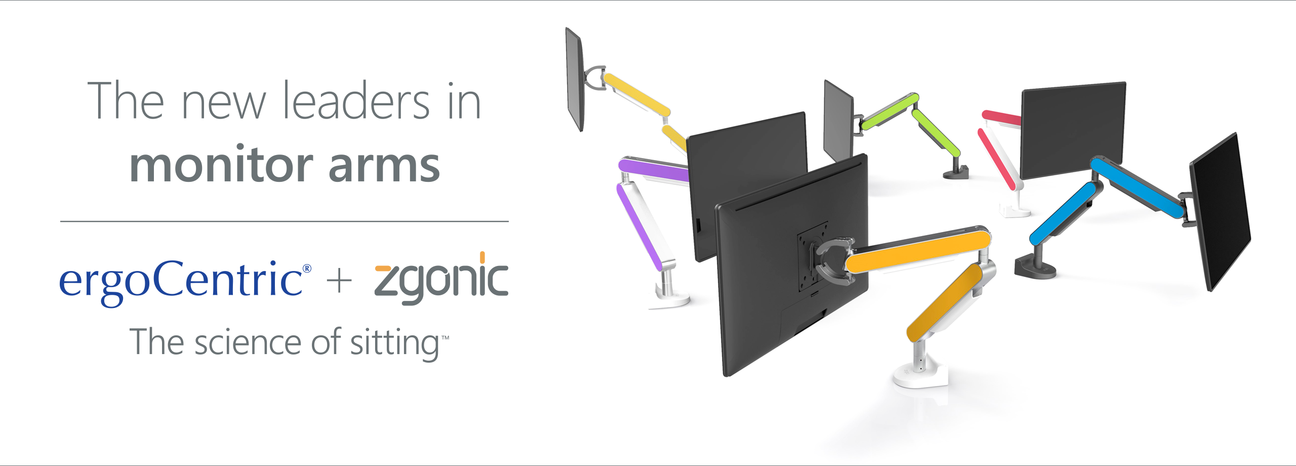 ergoCentric_Zgonic_WebBanner_v2